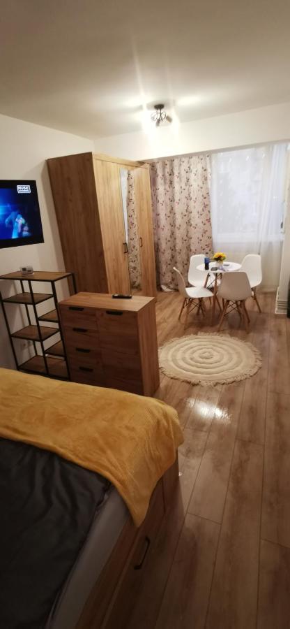 Appartement Ana Studio à Târgu-Mureş Extérieur photo